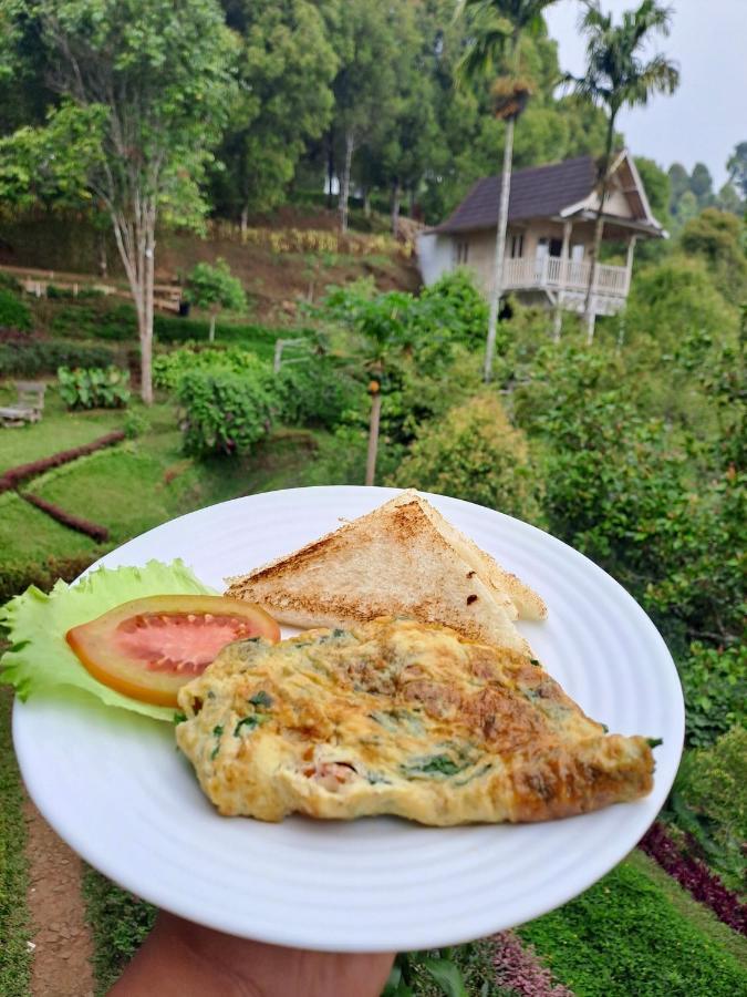 고블렉 Garden Terrace Bali B&B 외부 사진