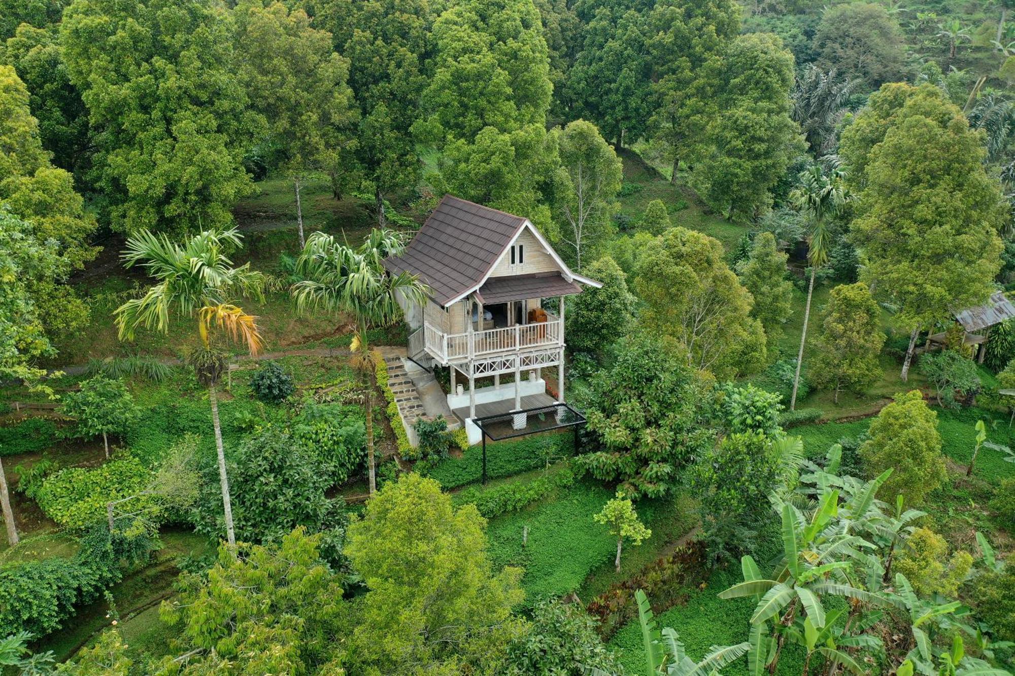 고블렉 Garden Terrace Bali B&B 외부 사진