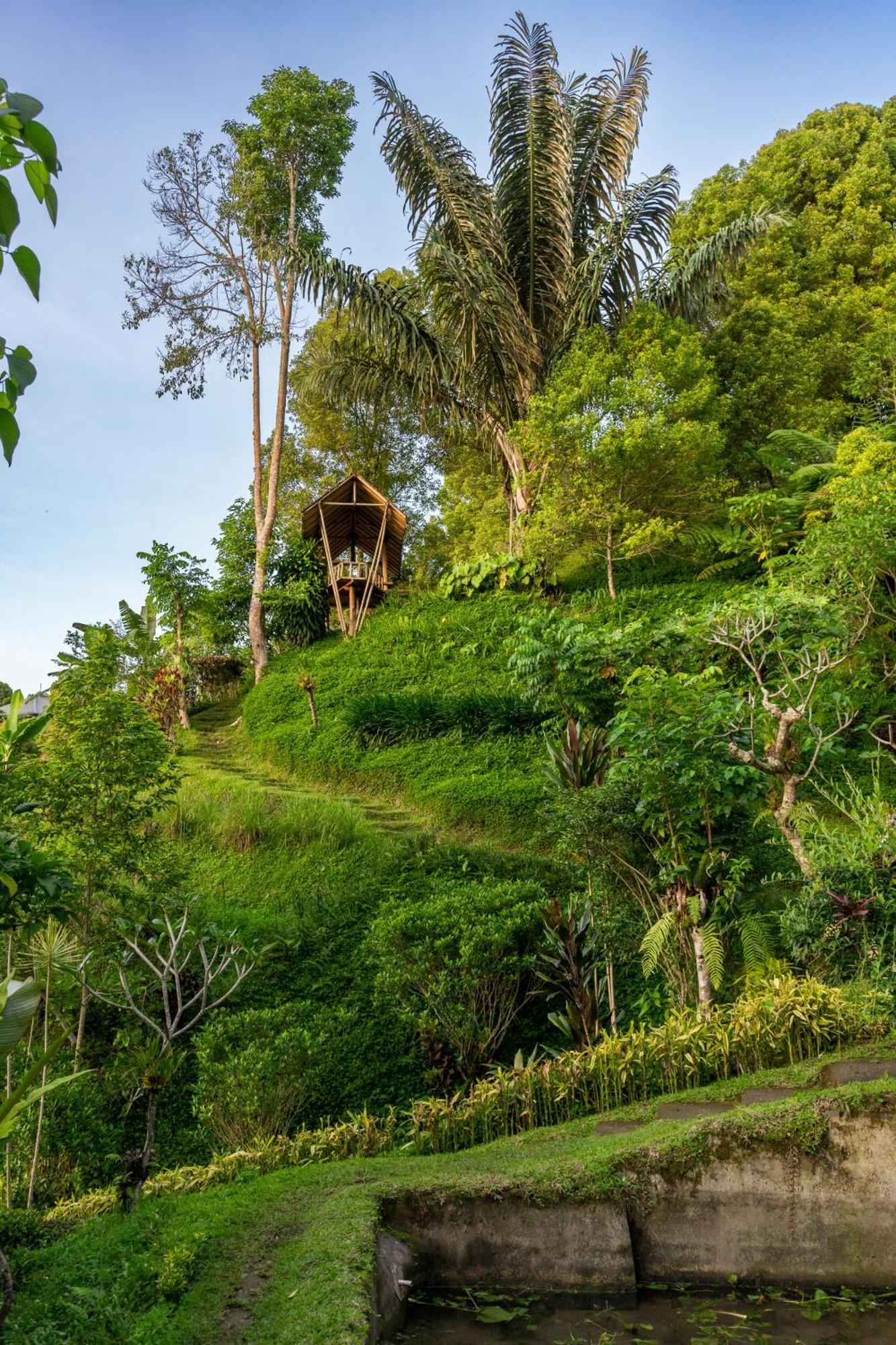 고블렉 Garden Terrace Bali B&B 외부 사진
