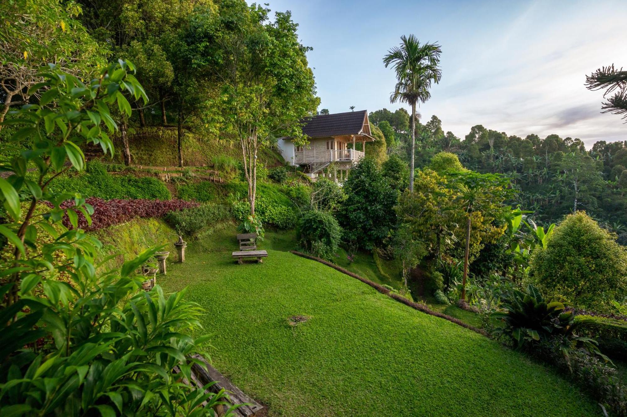 고블렉 Garden Terrace Bali B&B 외부 사진