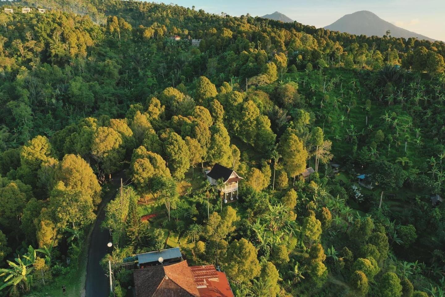 고블렉 Garden Terrace Bali B&B 외부 사진