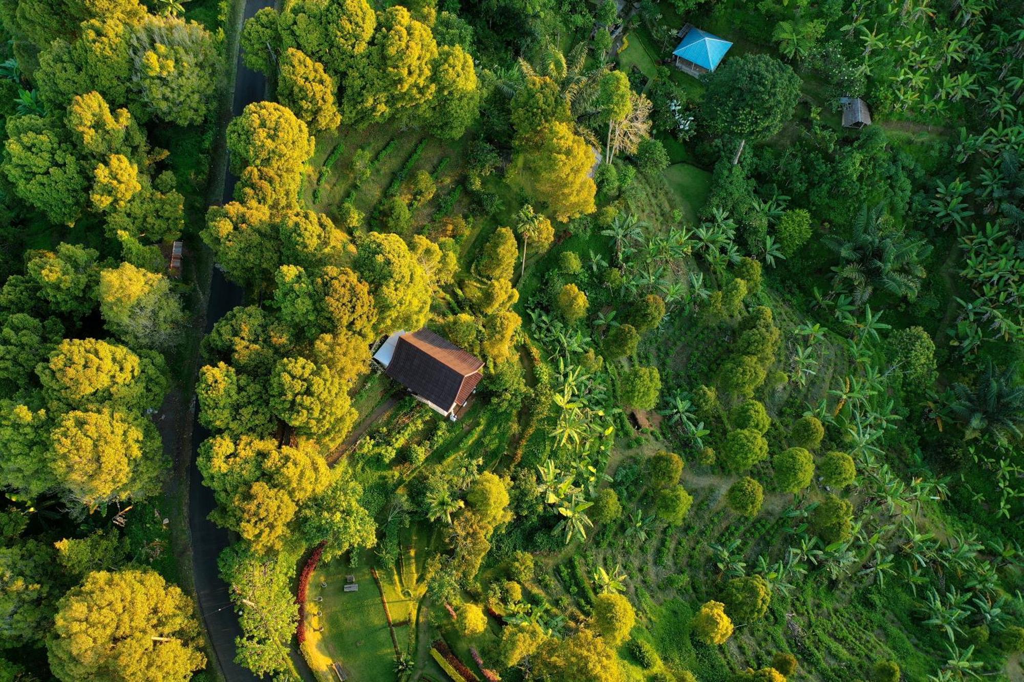 고블렉 Garden Terrace Bali B&B 외부 사진